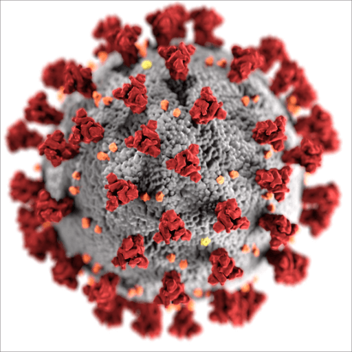 COVID-19 Pandemic Declared by WHO