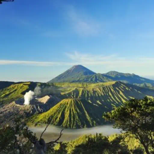 Java